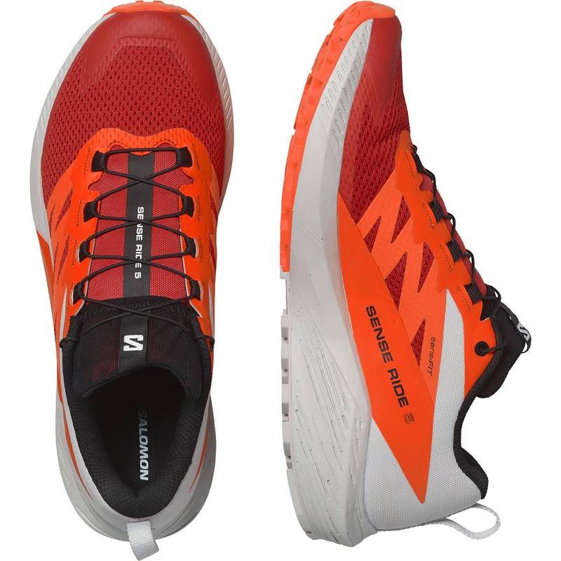 Salomon SENSE RIDE 5 Laufschuhe Herren
