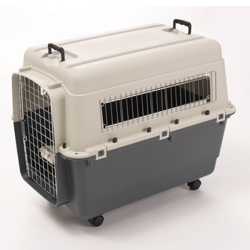 Sparset Transportbox Feria Andes + Fleecedecke Pawty | bitiba %