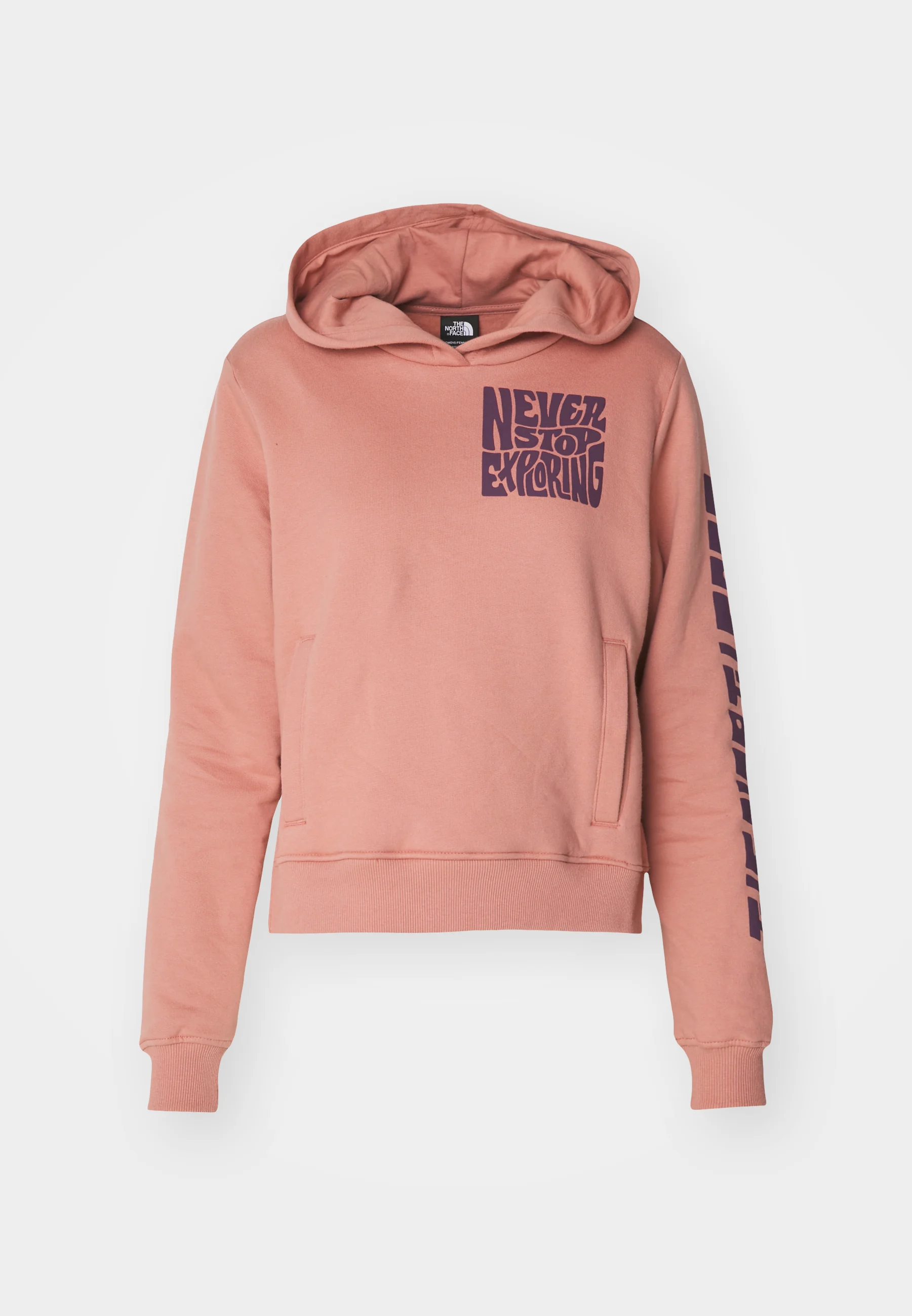 Sudadera con capucha Mountain Play de The North Face