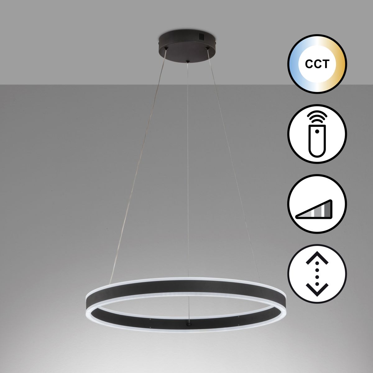 Fischer & Honsel LED Pendellampe Sirko Schwarz