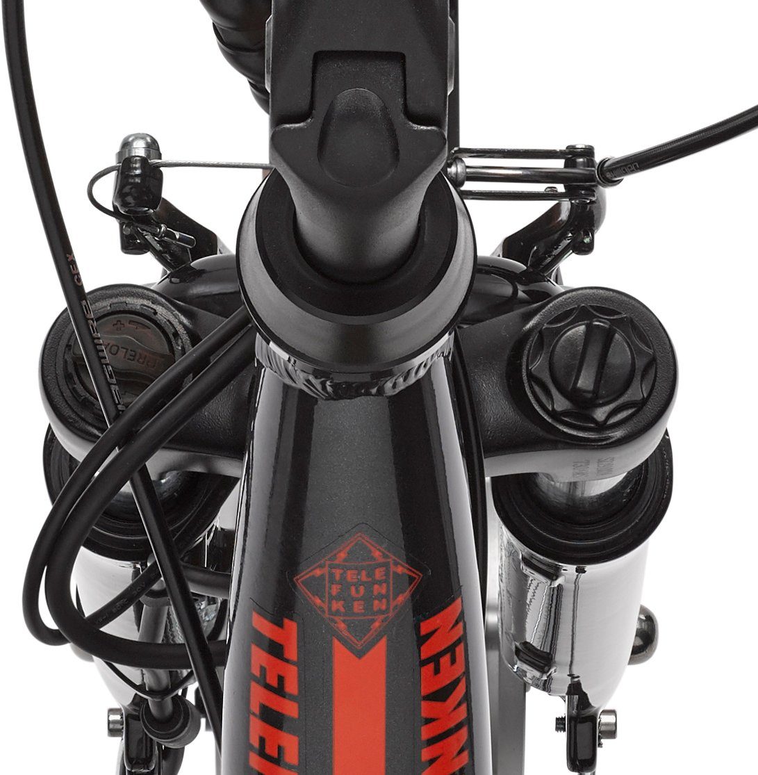 Telefunken E-Bike RC657 Multitalent, 7 Gang Shimano Nexus Schaltwerk, Nabenschaltung, Frontmotor, 468 Wh Batterie, mit abnehmbarem Einkaufs-Fahrradkorb