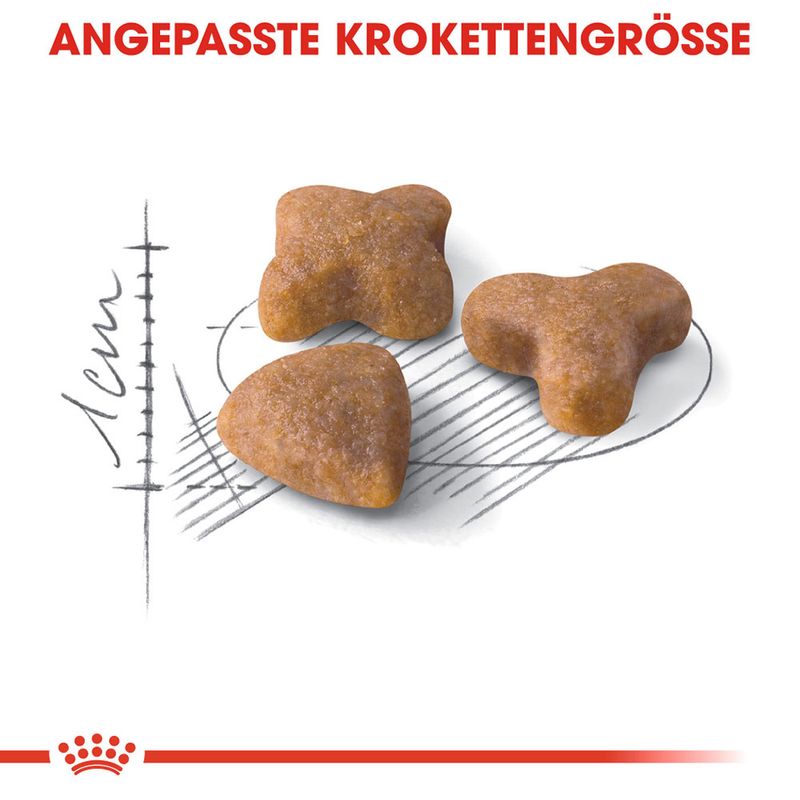 Royal Canin Sensible zu TOP-Preisen