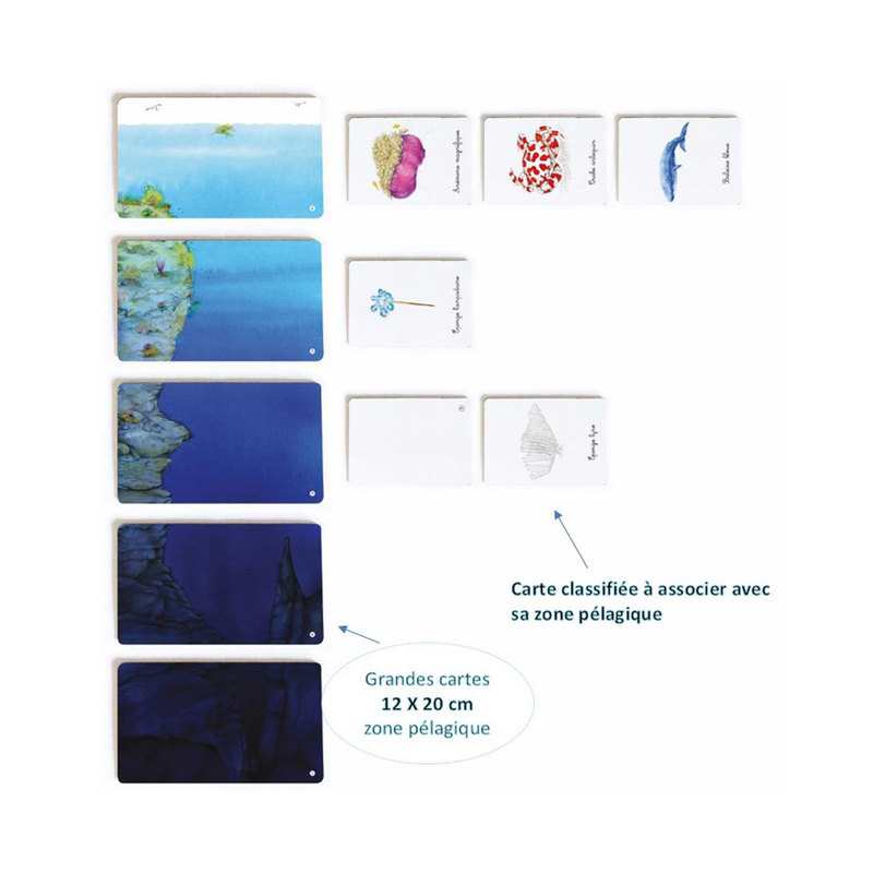 Coffret Montessori, les animaux des océans - Nathan Jeunesse