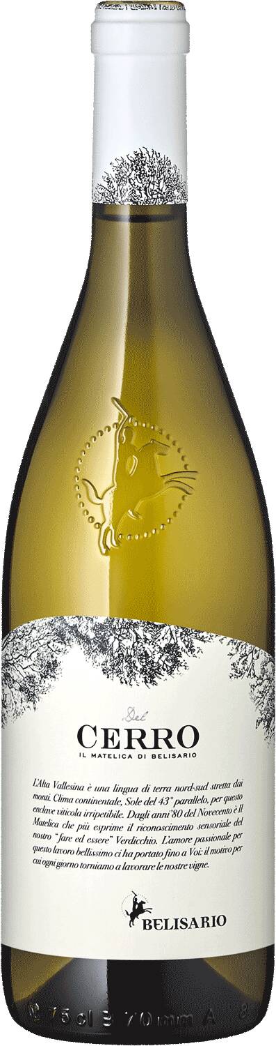 Verdicchio di Matelica "Del Cerro" 2022