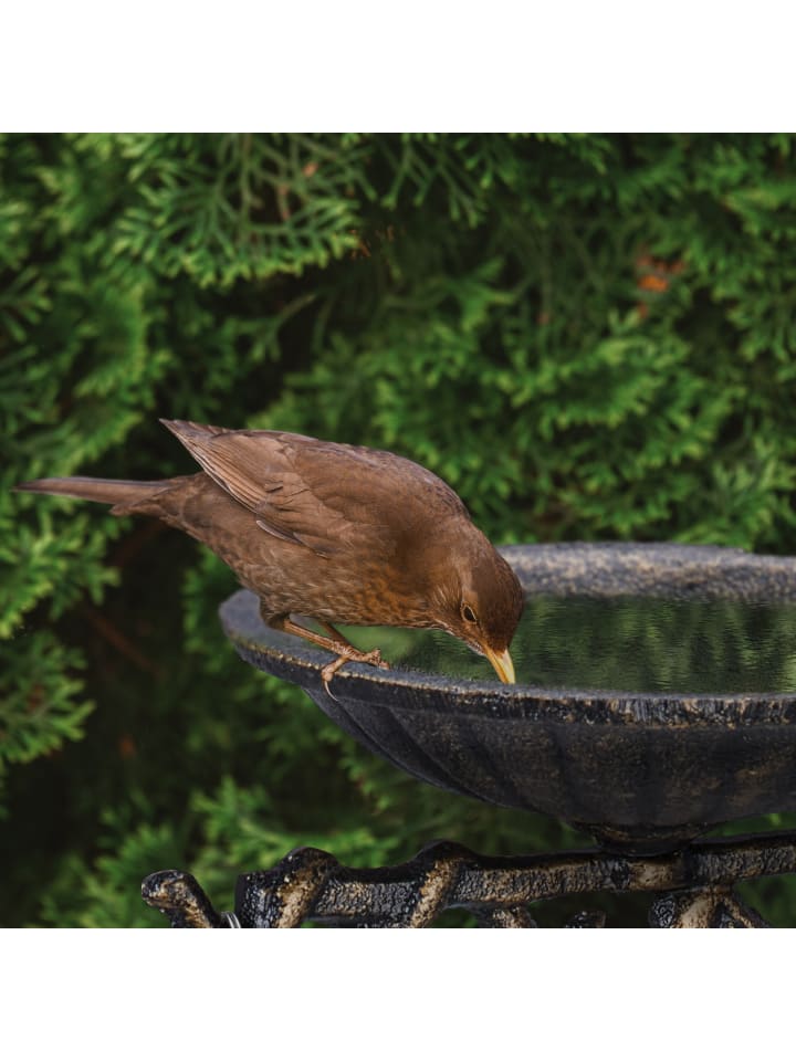 relaxdays Vogeltränke 