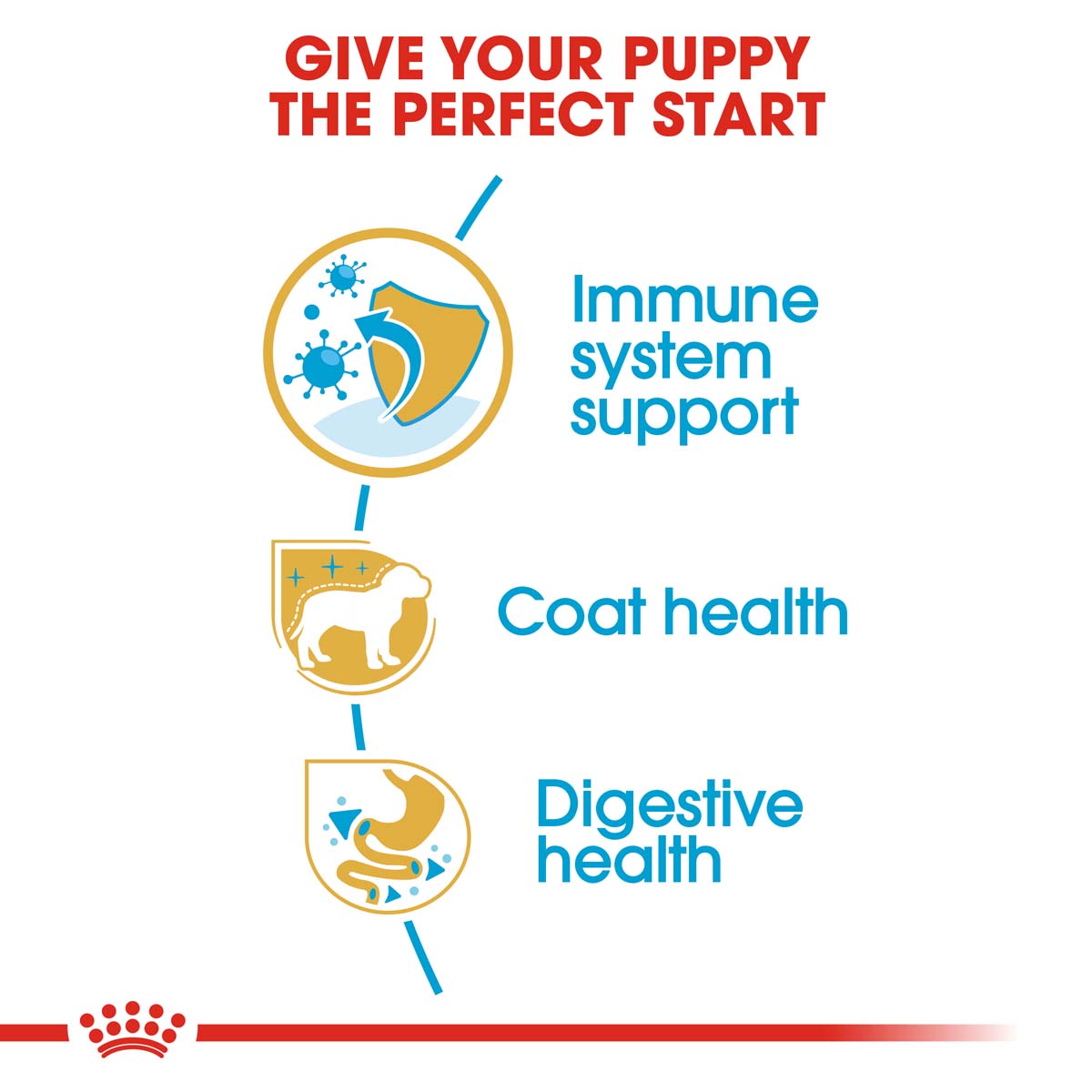 ROYAL CANIN Poodle Puppy Welpenfutter trocken für Pudel