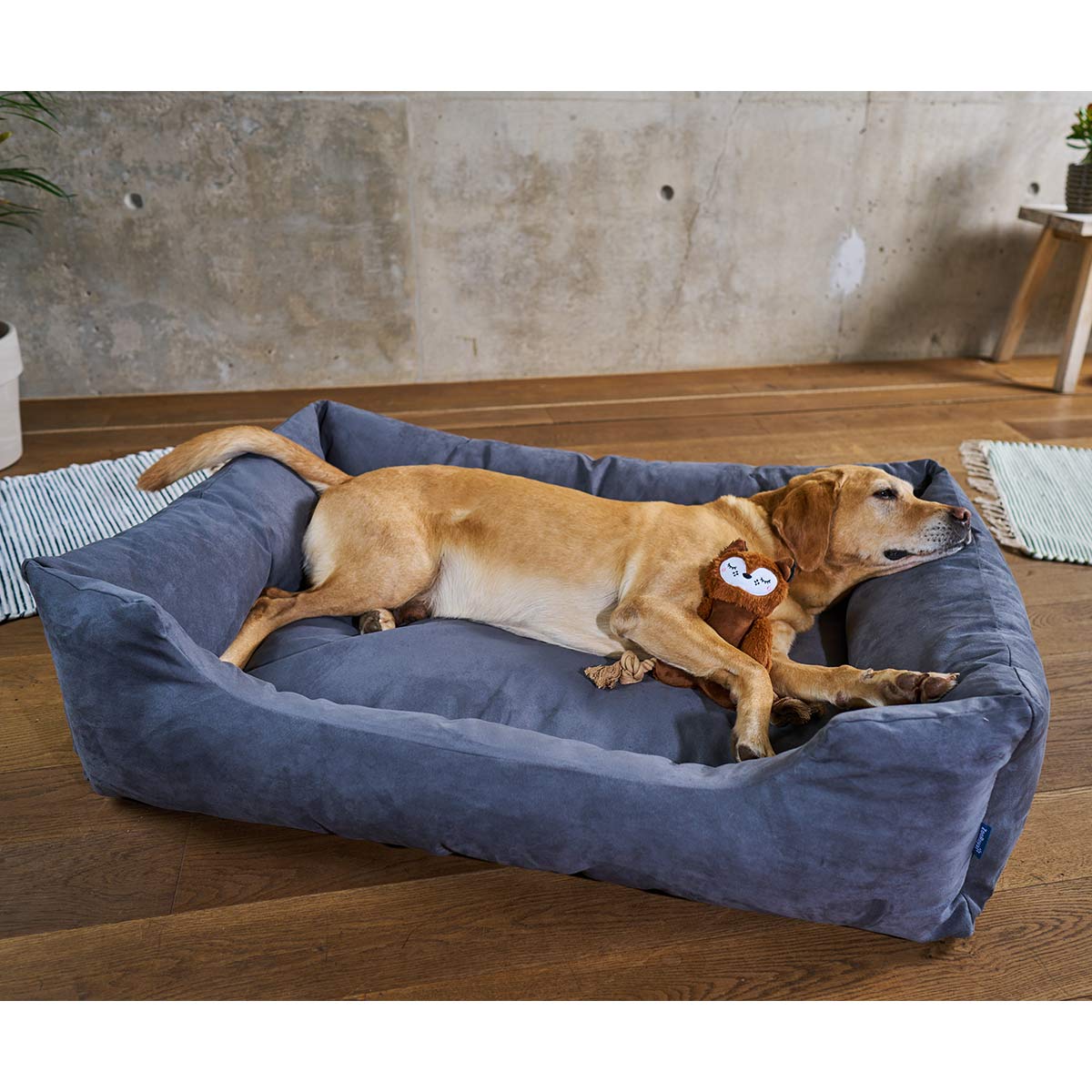 ZooRoyal Hundebett Dream anthrazit günstig kaufen