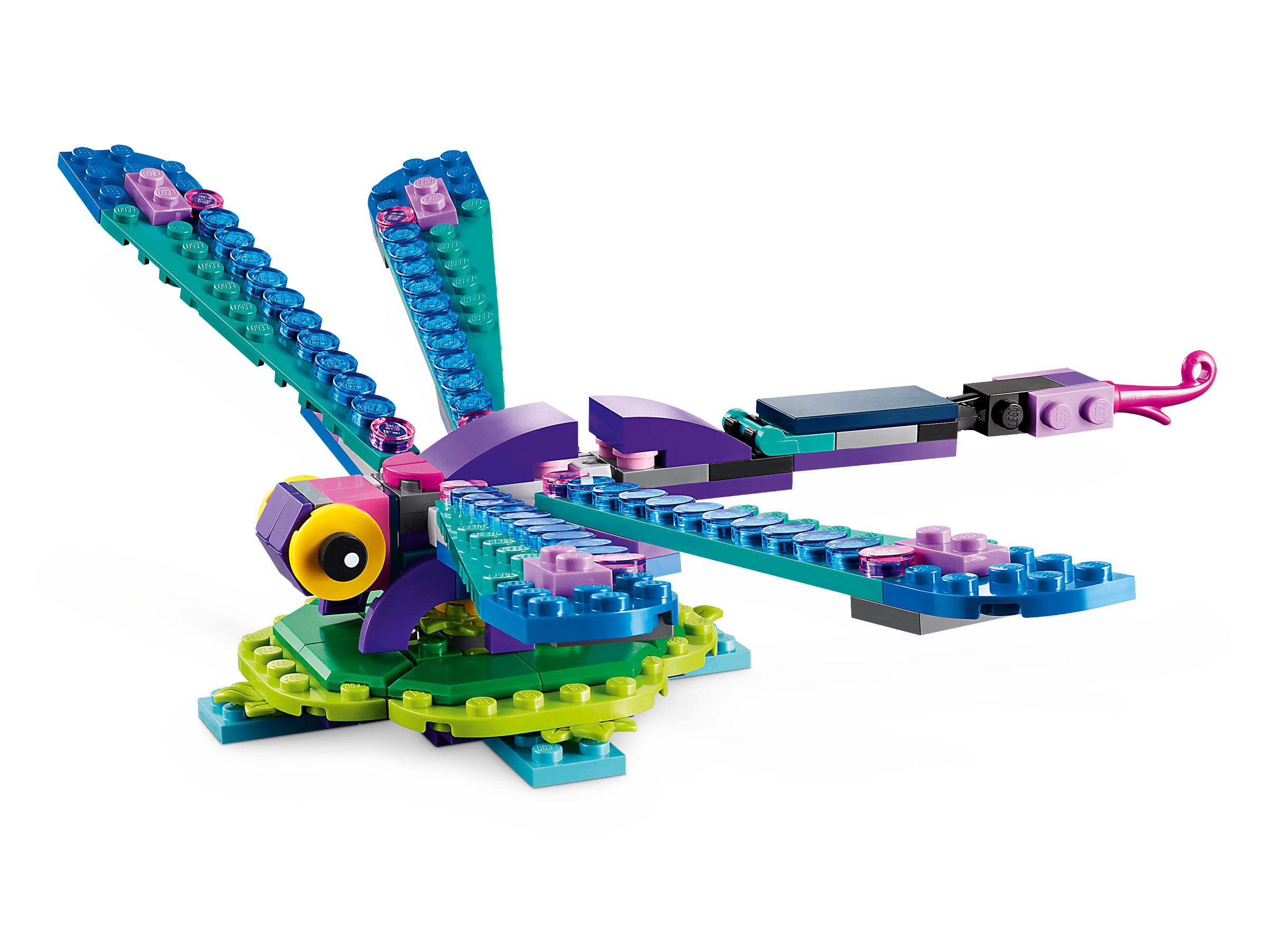 Exotischer Pfau 31157
