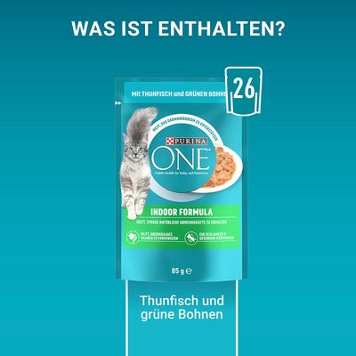 PURINA ONE Indoor Formula