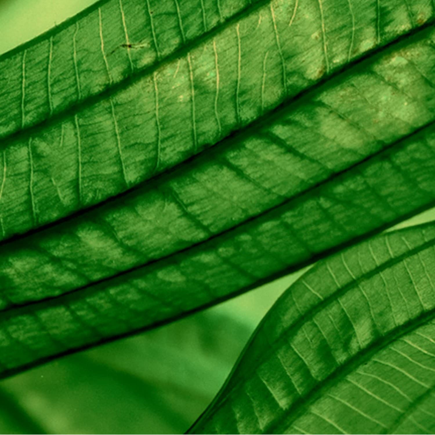 Biotherm Nočný krém s trojitým efektom: hydratuje, vyhladzuje a upokojuje