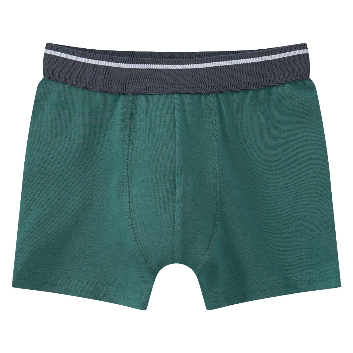 5 Jungen Boxer in verschiedenen Dessins