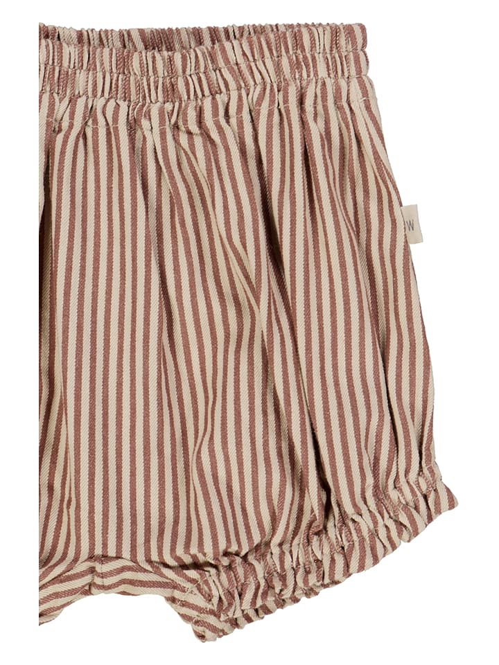 Wheat Shorts 