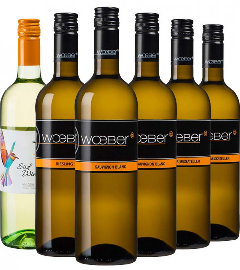 Wöber Kennenlern-Paket - Weingut Wöber