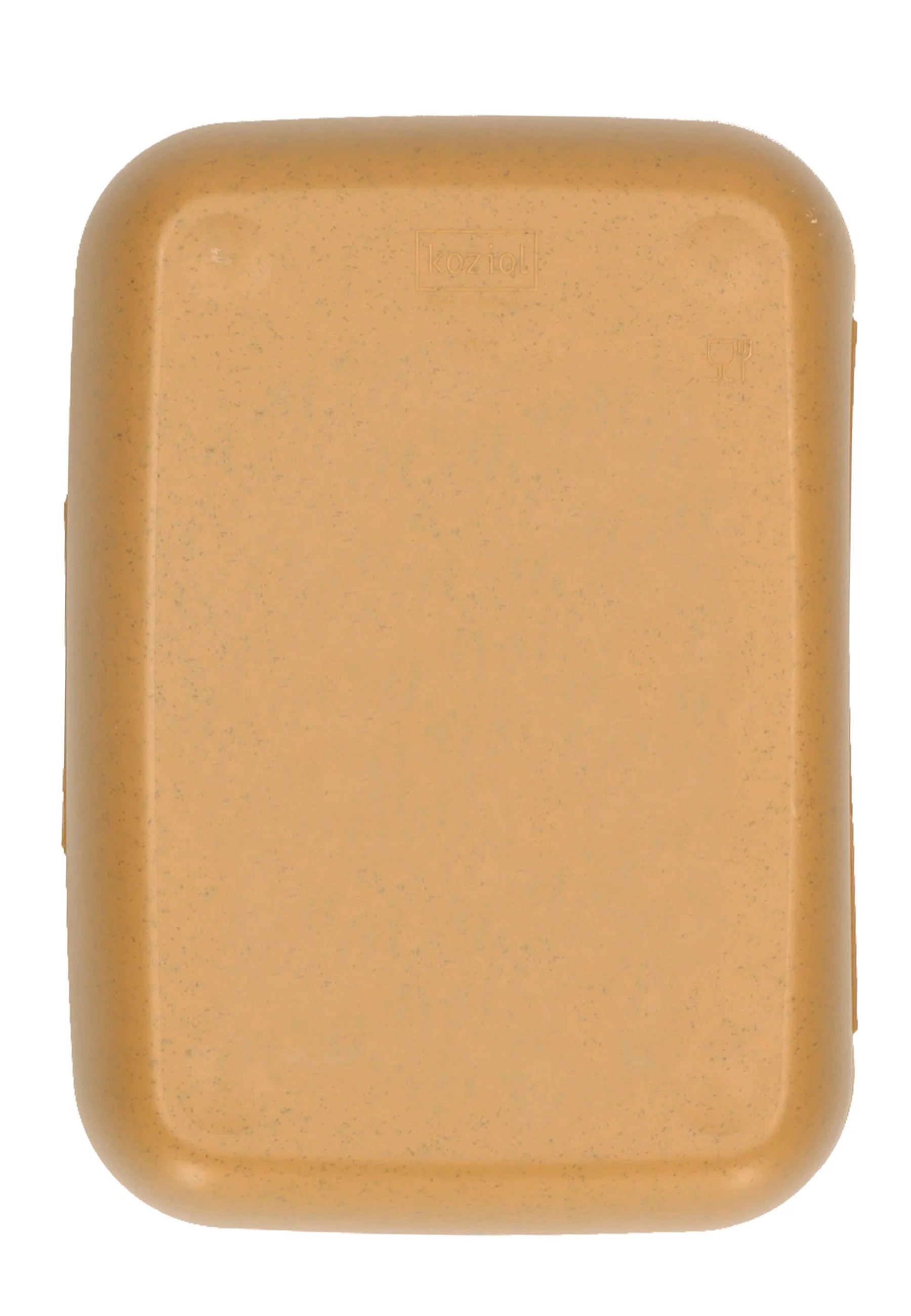 Kinder Brotdose bedruckt mit Motiv Affe und Löwe
