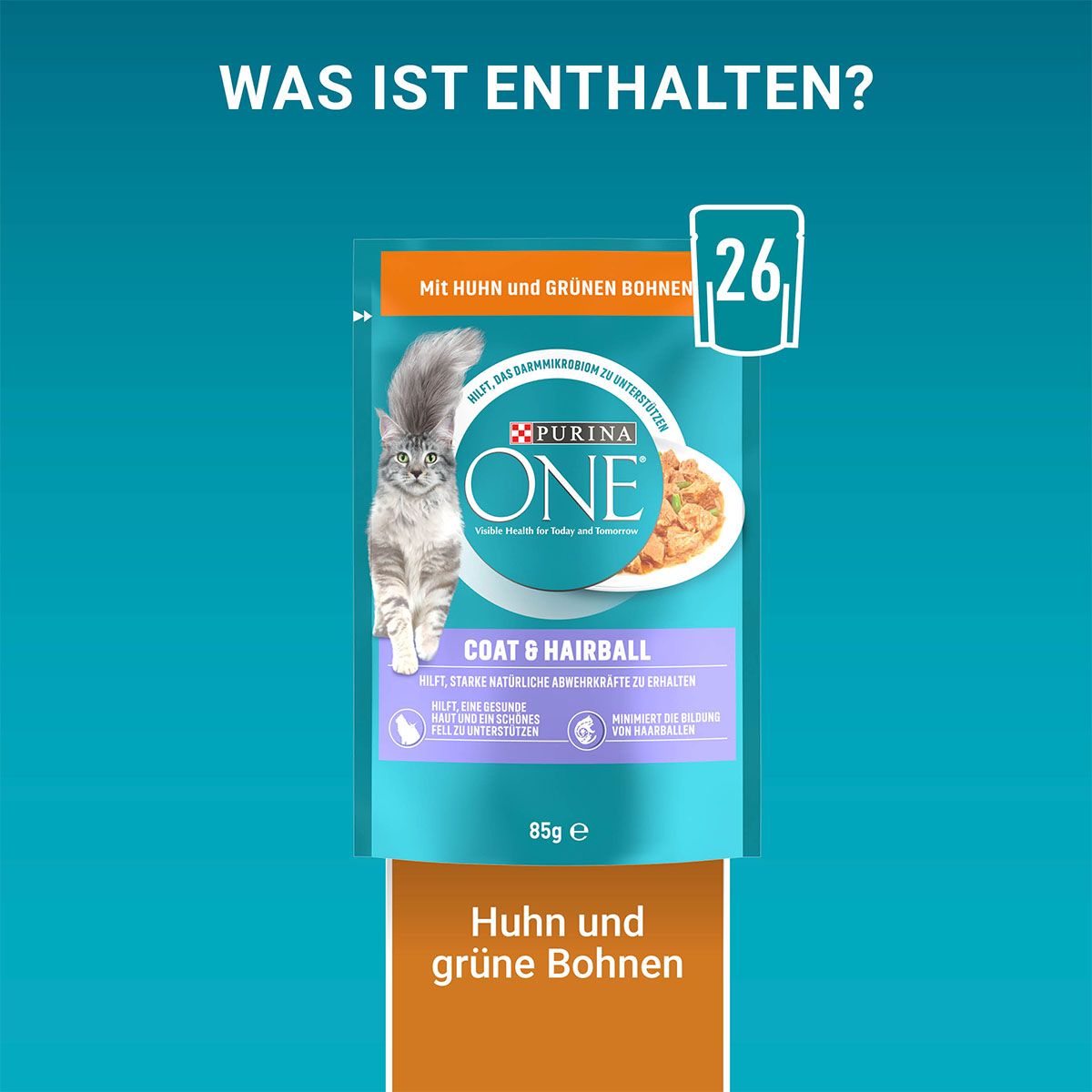 PURINA ONE COAT & HAIRBALL in Sauce Huhn kaufen