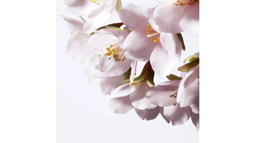 SHISEIDO White Lucent Illuminating Micro-Spot Serum