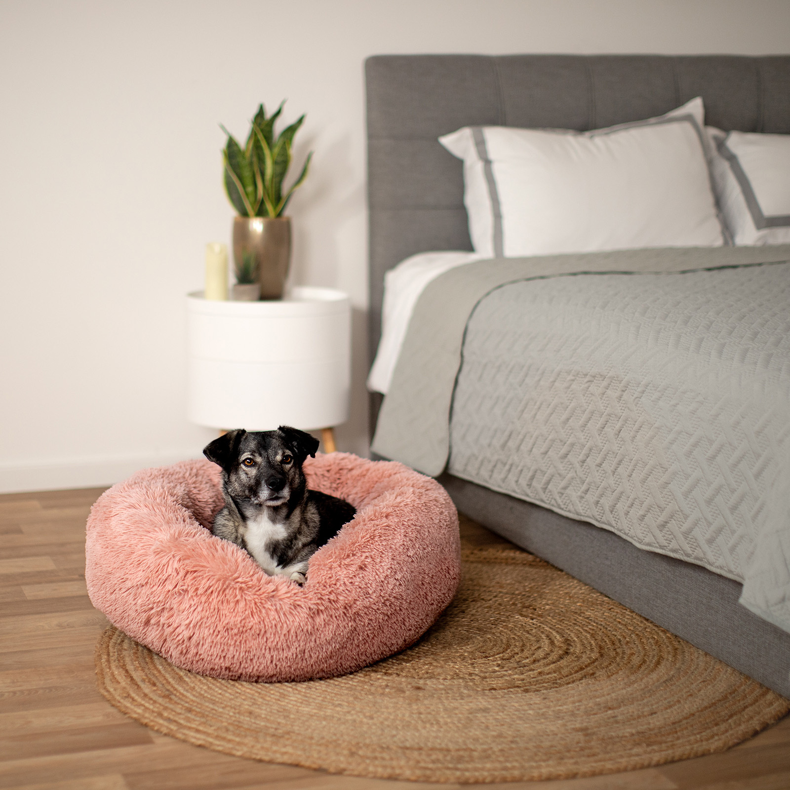 Lionto Hundebetten Lionto Donutbett rosa L