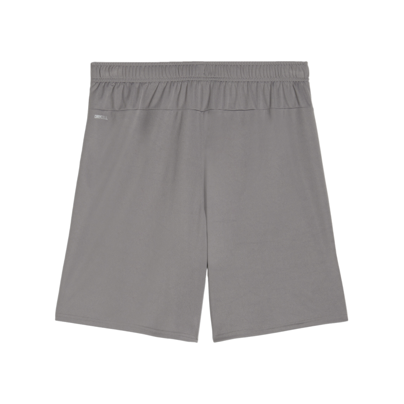 PUMA teamGOAL Short Grau Weiss F13