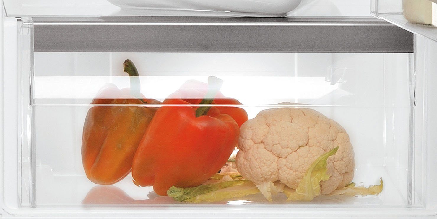 BAUKNECHT Einbaukühlschrank KSI 12VF2, 122 cm hoch, 55,7 cm breit