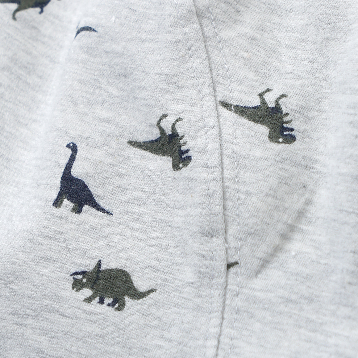 3 Jungen Boxer mit Dinosaurier-Allover