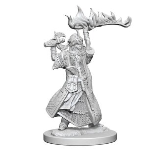 Human Female Cleric: Pathfinder Deep Cuts Unpainted Minis