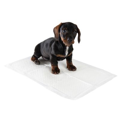 zooplus Trainingsunterlage für Hundewelpen