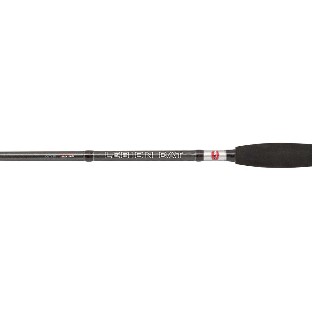 Canne leurre silure penn legion cat sudraba spin 2m70 40-160g