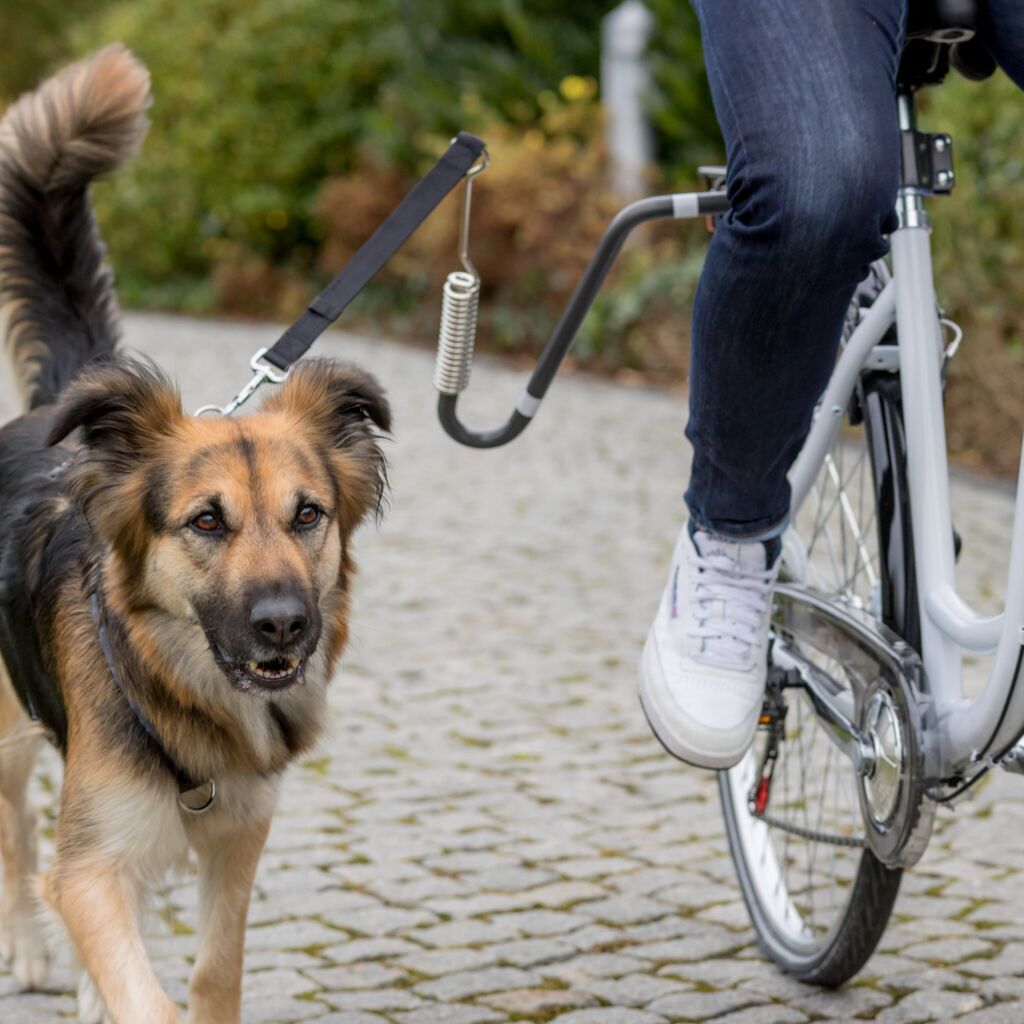 Trixie Fahrradzubehör Trixie Biker-Set U-Form
