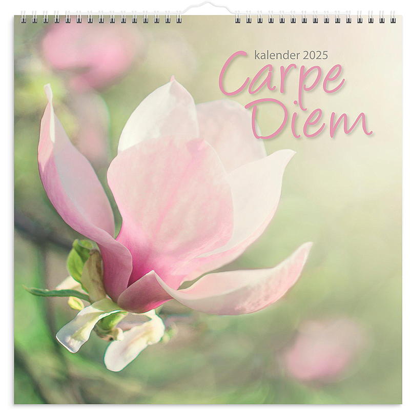 Veggkalender carpe diem 2025