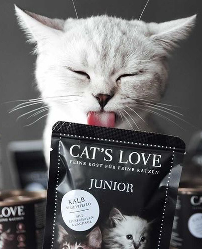 CAT'S LOVE Nassfutter CAT'S LOVE Junior 12x85g Kalb mit Eierschalen & Lachsöl