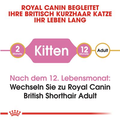 Royal Canin British Shorthair Kitten