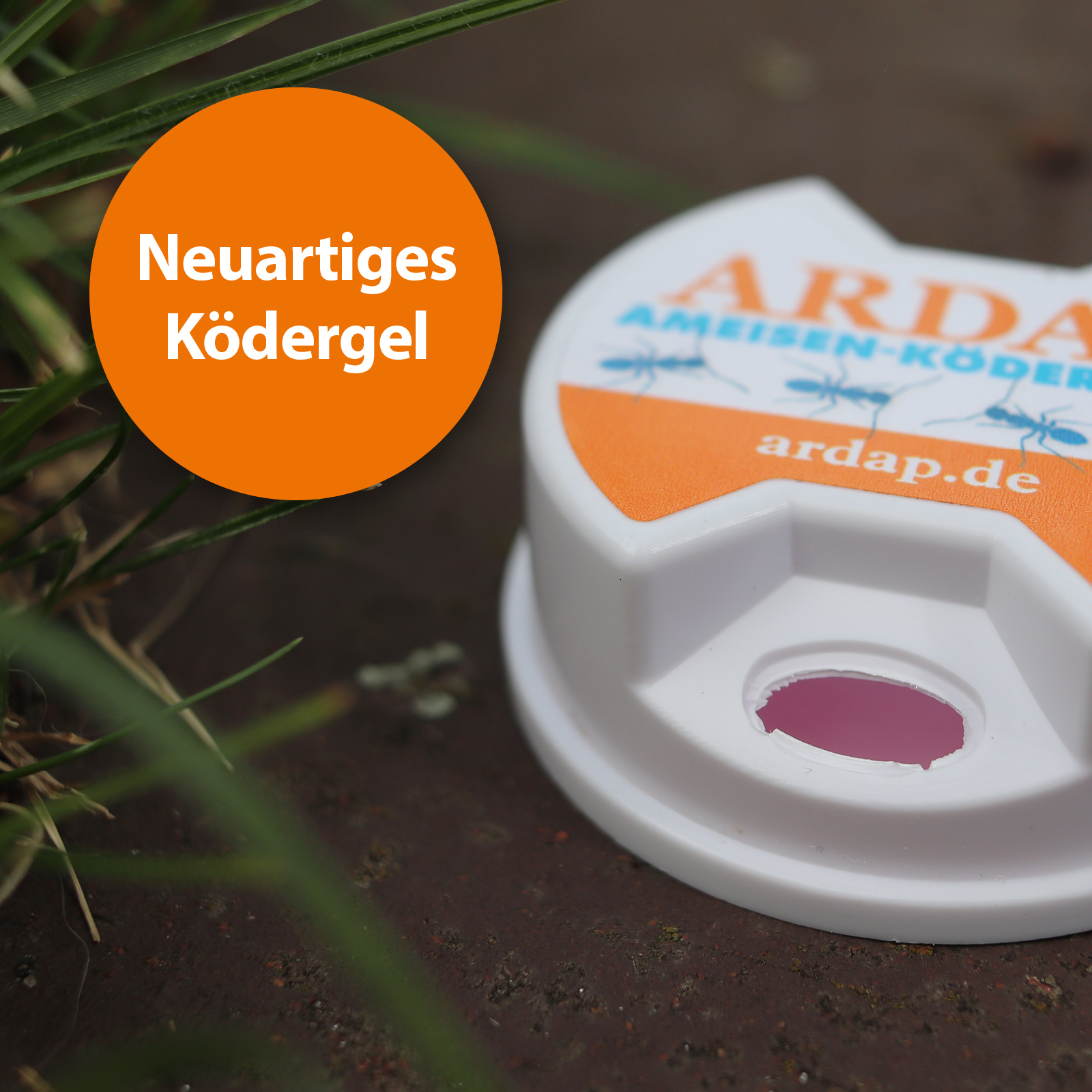 Ardap Zubehör Ardap Ameisen Köderdose 3er Pack