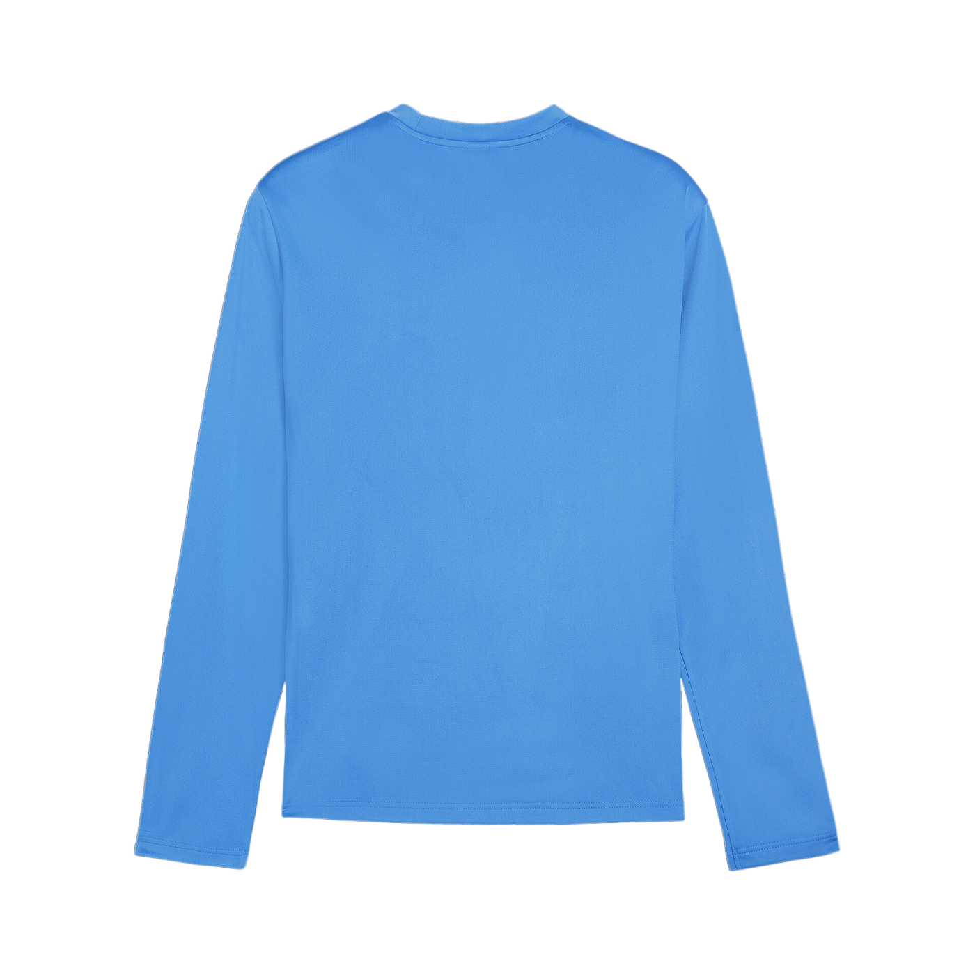 PUMA teamGOAL Training Sweatshirt Blau F02