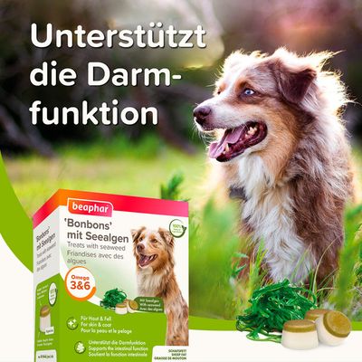 Beaphar 'Bonbons' mit Seealgen