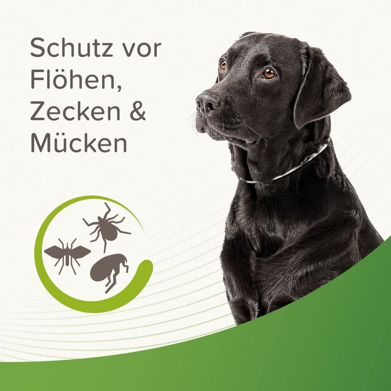 beaphar Reflektierendes Zecken- & Flohschutz-Halsband für Hunde