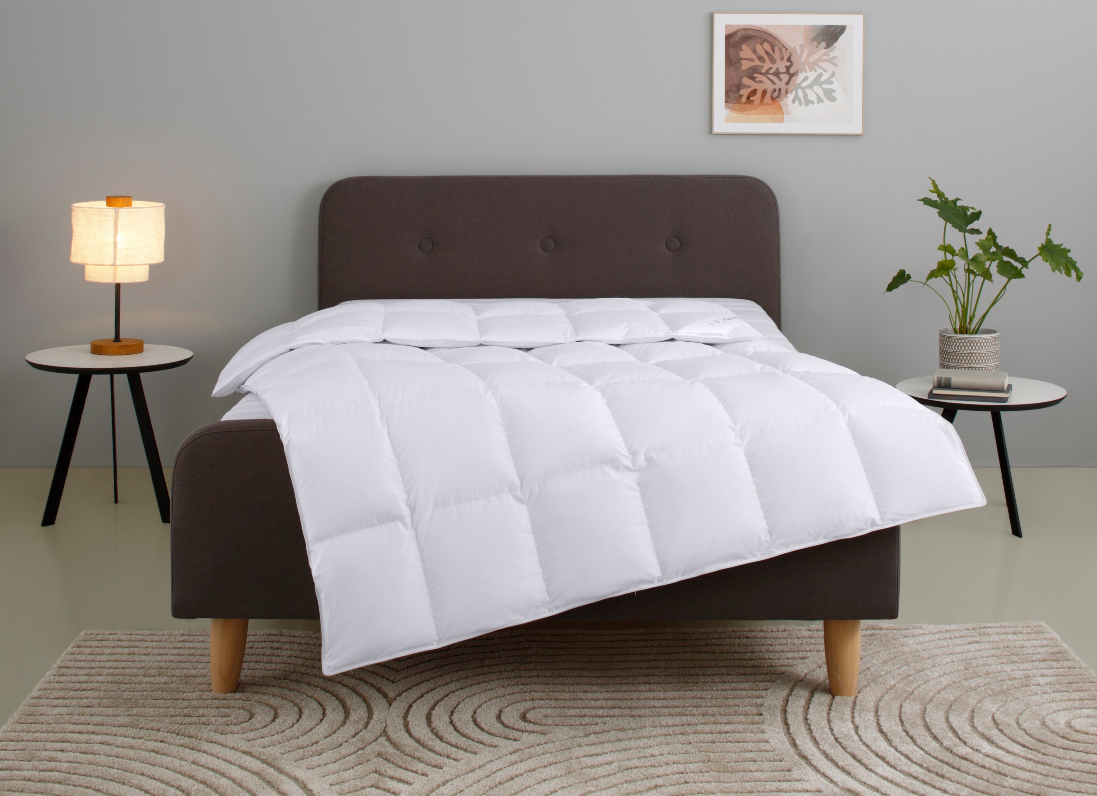 Daunenbettdecke, Litrone, Bettdecke in 135x200cm & weitere Größen erhältlich, Home affaire, Füllung: 100% Gänsedaunen, Bezug: Baumwolle, Sommer bis Winter die richtige Bettdecke