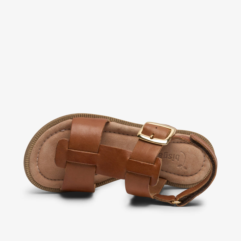 adea brandy - Braun