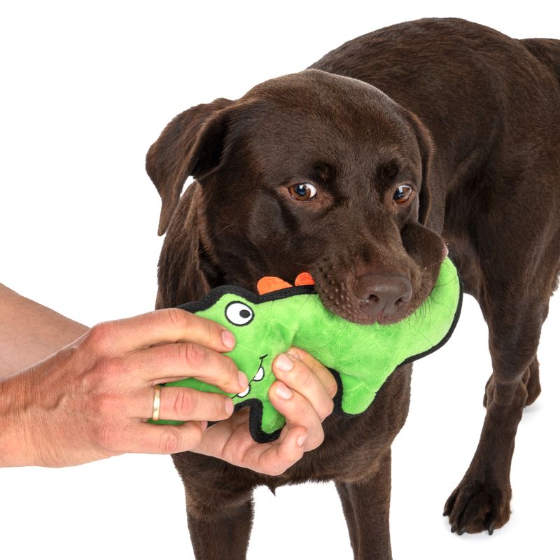 TIAKI Hundespielzeug Happy Croco Tough zu TOP-Preisen | bitiba.de