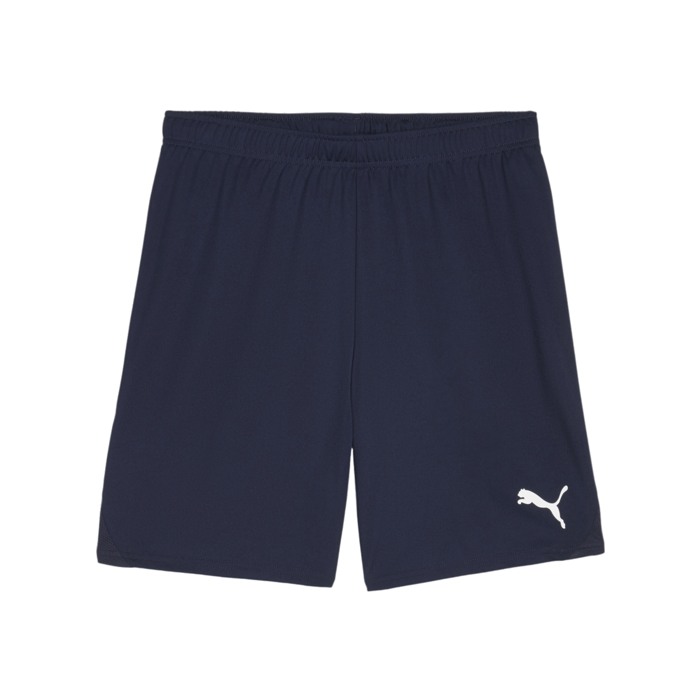 PUMA teamGOAL Short Blau Weiss F06