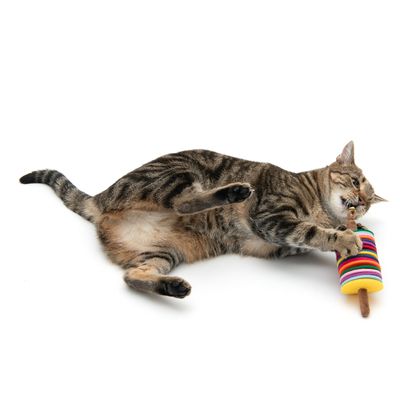 Katzenspielzeug Felton