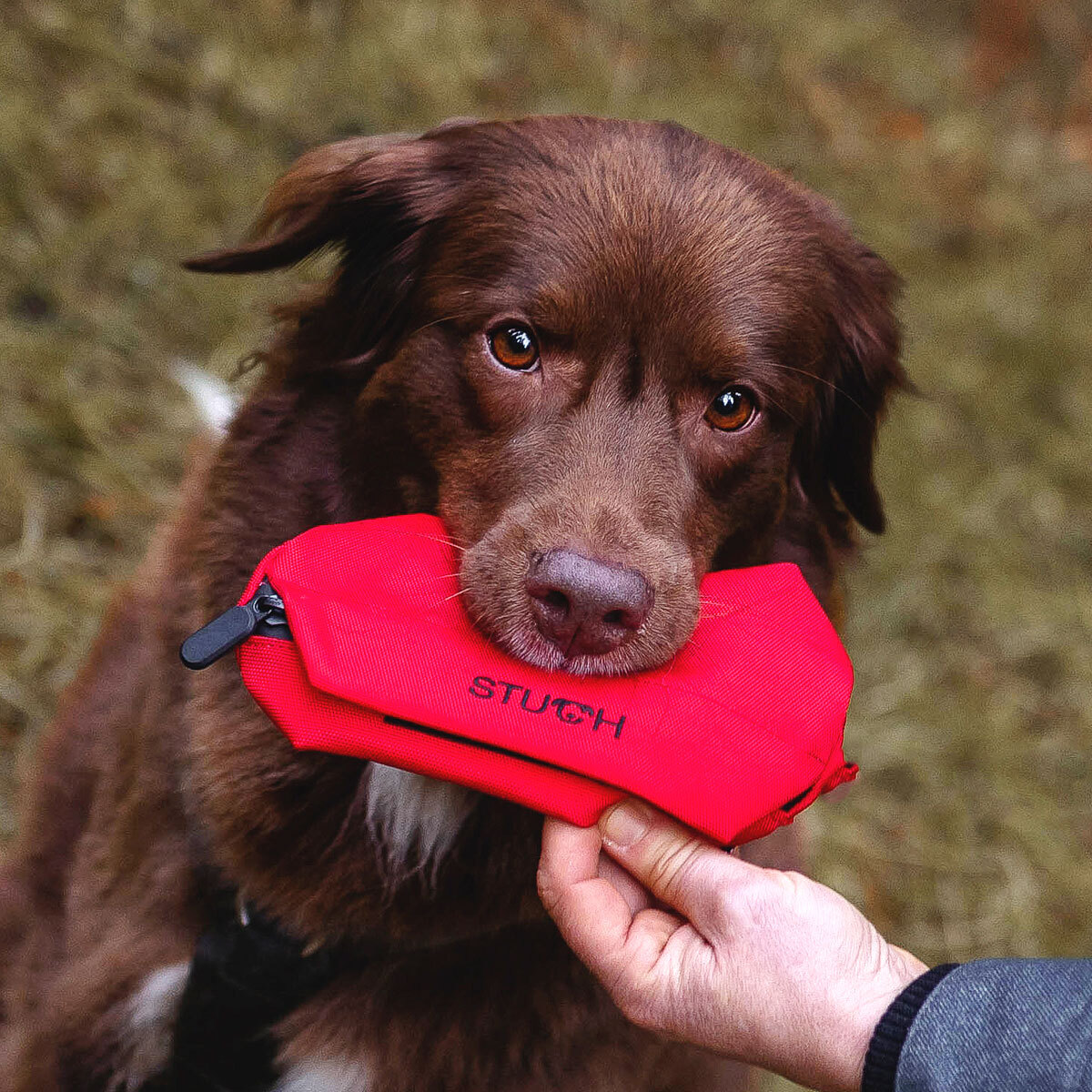 STUCH Agility & Training STUCH Futterbeutel - Futterdummy zum Apportieren rot