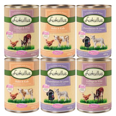 6 x 400 g Lukullus Naturkost Junior Probierpakete