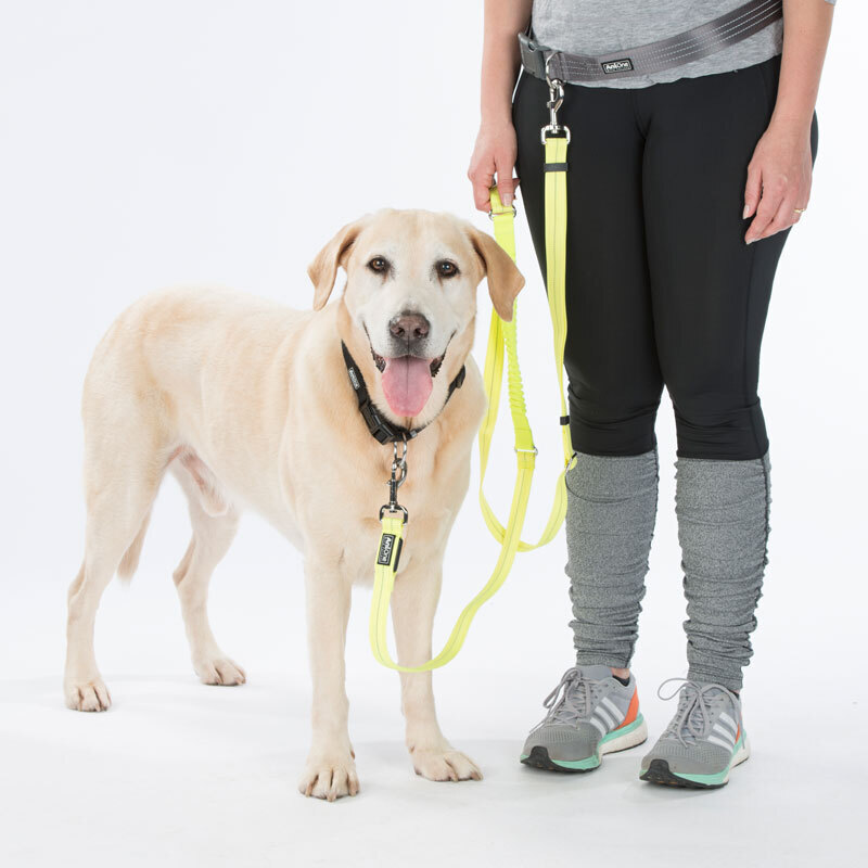 AniOne Hundeleinen AniOne LED-Leucht-Joggingleine