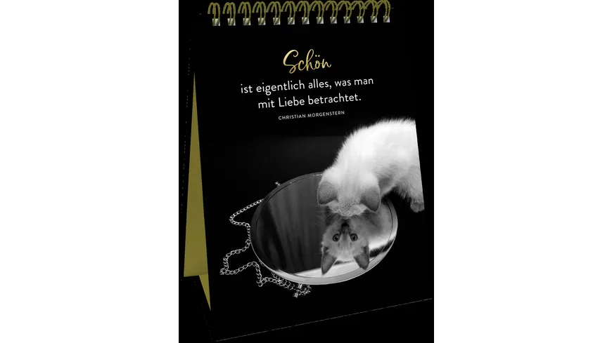 Spiralaufsteller Goldene Katzenweisheiten - Edles Geschenk mit ästhetischen Schwarz-weiß-Fotografien und Katzenweisheiten