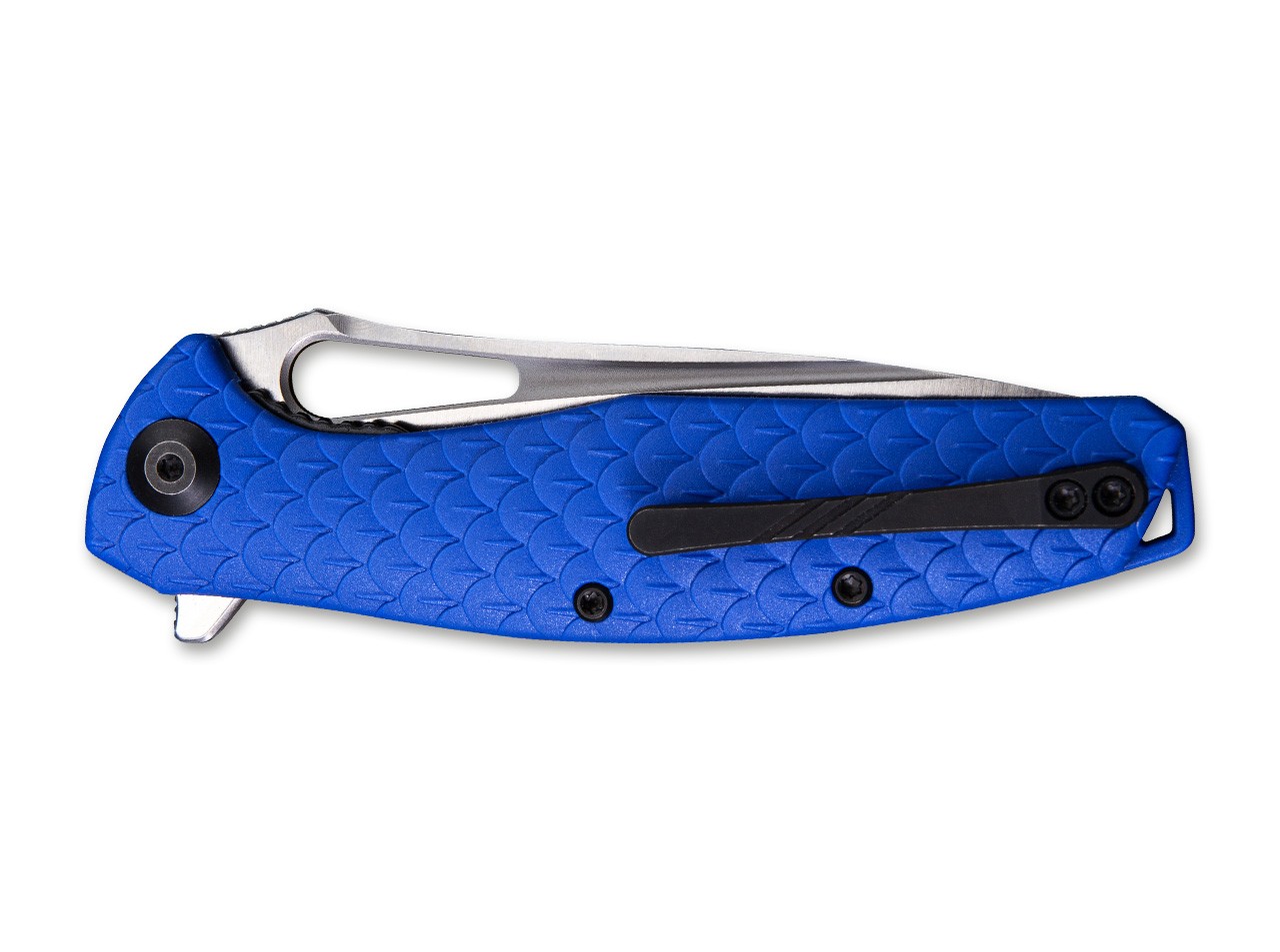 Wyvern Blue