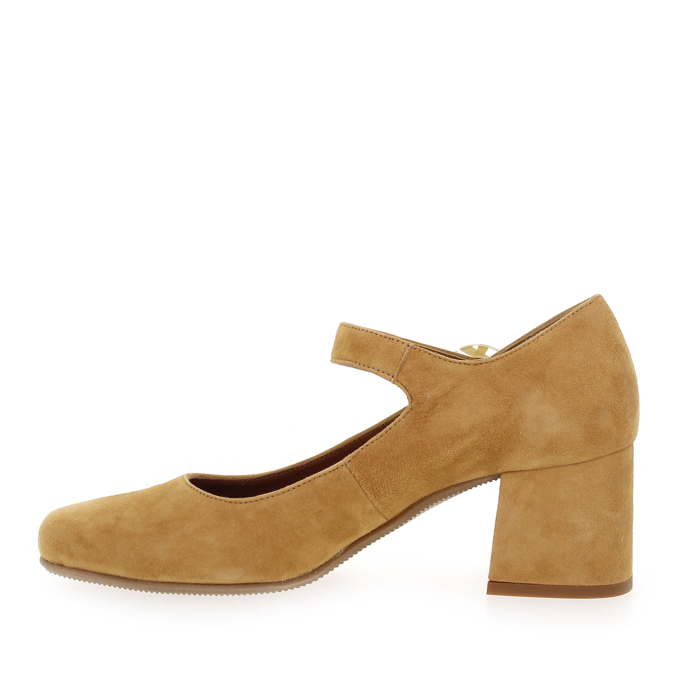 Reqins  GRETAGNE  - Camel