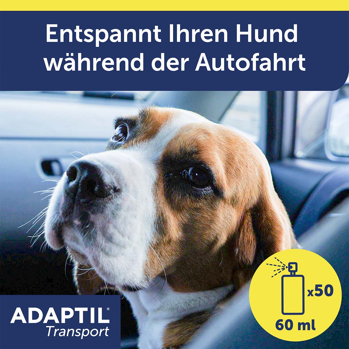 Pheromonspray zur Entspannung bei Hunden in Transportsituationen.