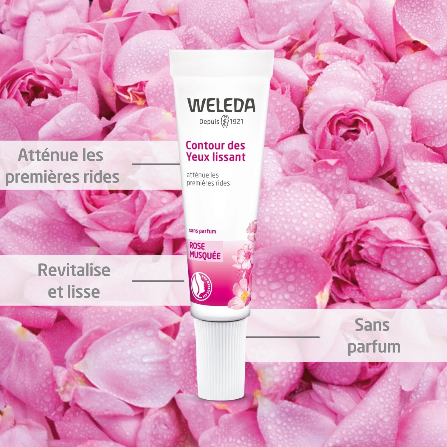 Weleda Rose Musquée Contour des Yeux Lissant - Revitalise et Lisse - 10 ml