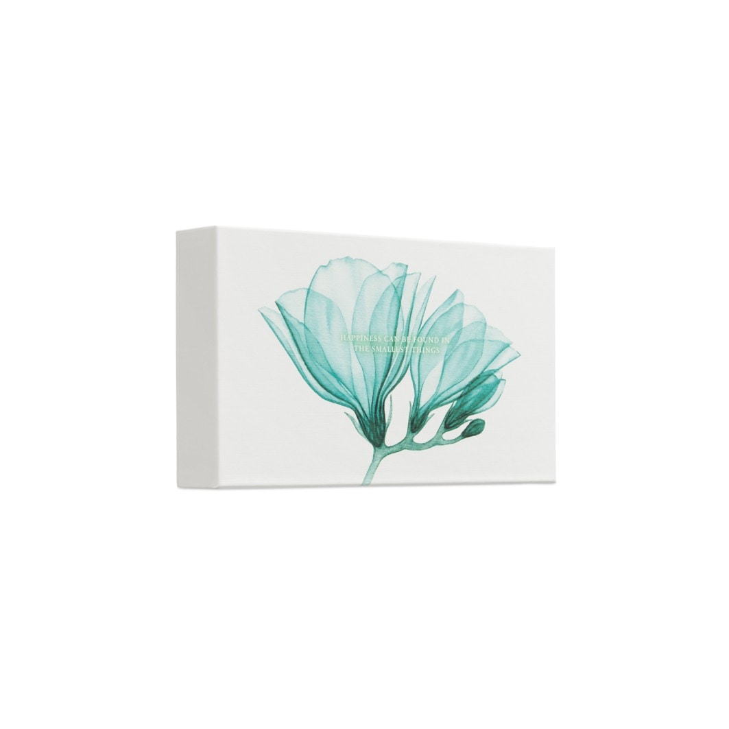 Lotus & White Tea Bath & Body Gift Set Small