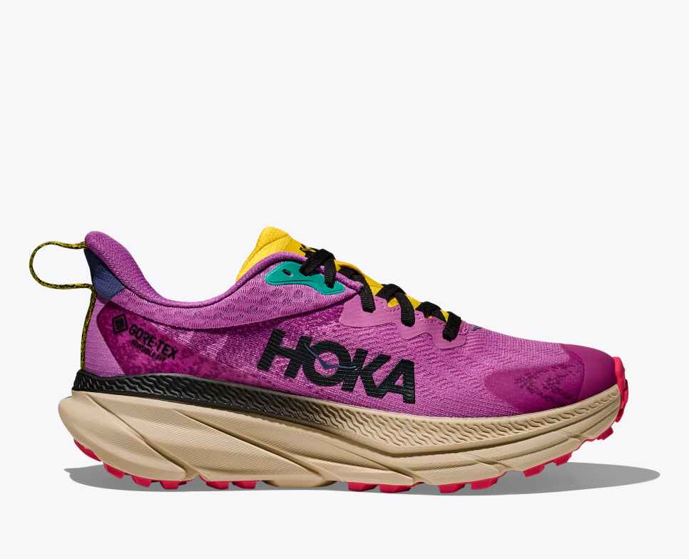 Challenger 7 GORE-TEX Superbloom / Oatmeal